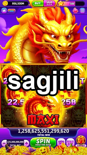 sagjili APK